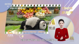 欧美日韩在线播放三区四区